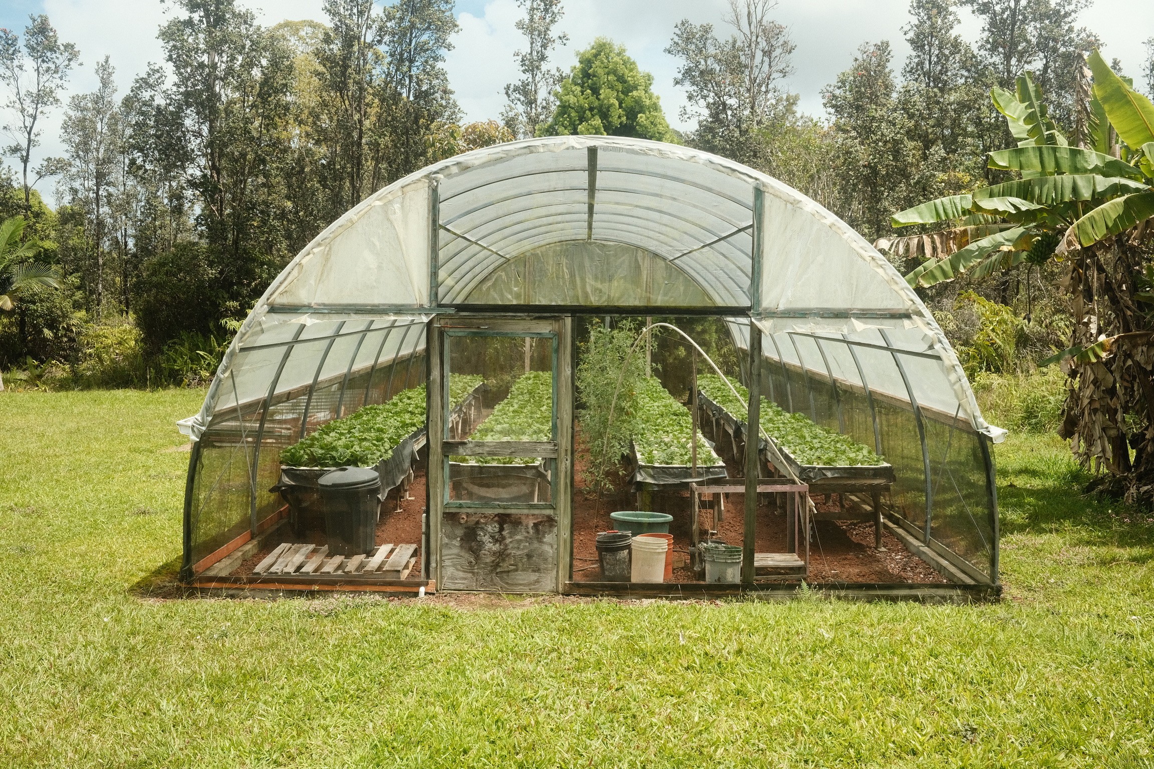 painting of two people on a beach
